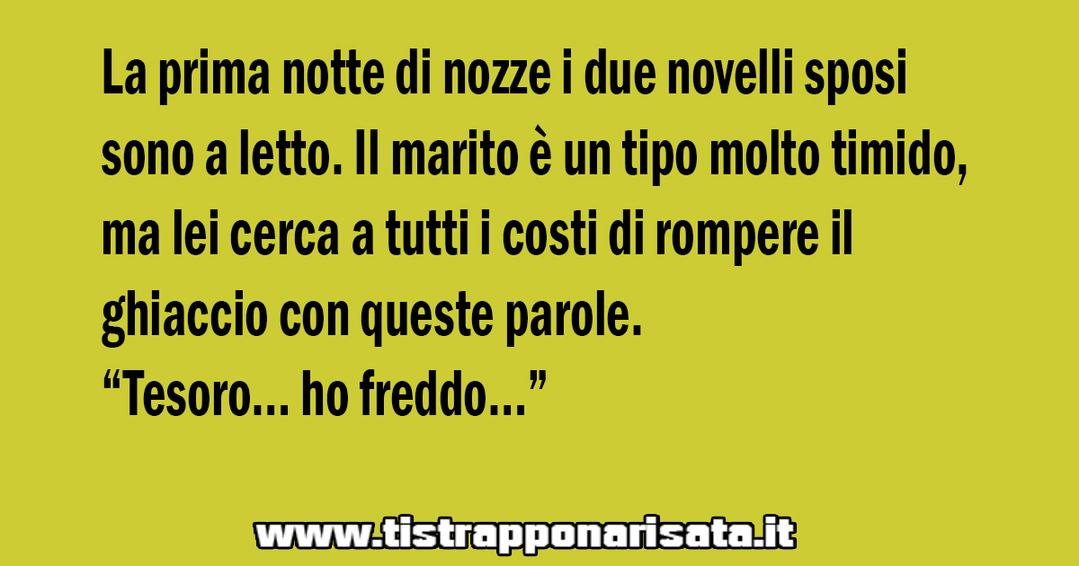 Il Viaggio Di Nozze Freddissimo Barzelletta